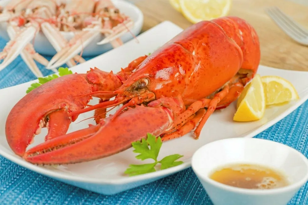 Quin-Sea hopes to see Newfoundland lobster expand its global brand presence.