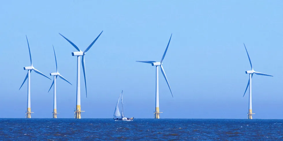 The Veja Mate offshore wind project