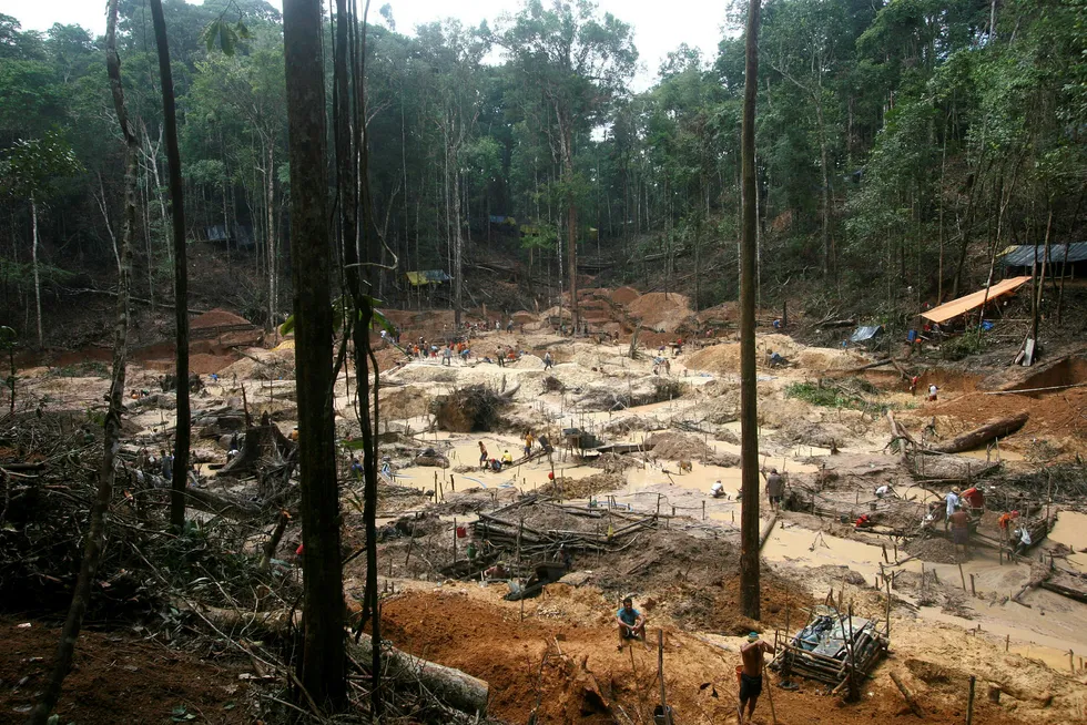 Kravet om vern av regnskogen bør være ufravikelig for Norge. Det kan også danne en presedens, skriver artikkelforfatteren. Her fra regnskogen i Amazonas, Brasil, der avskoging er et stort problem.