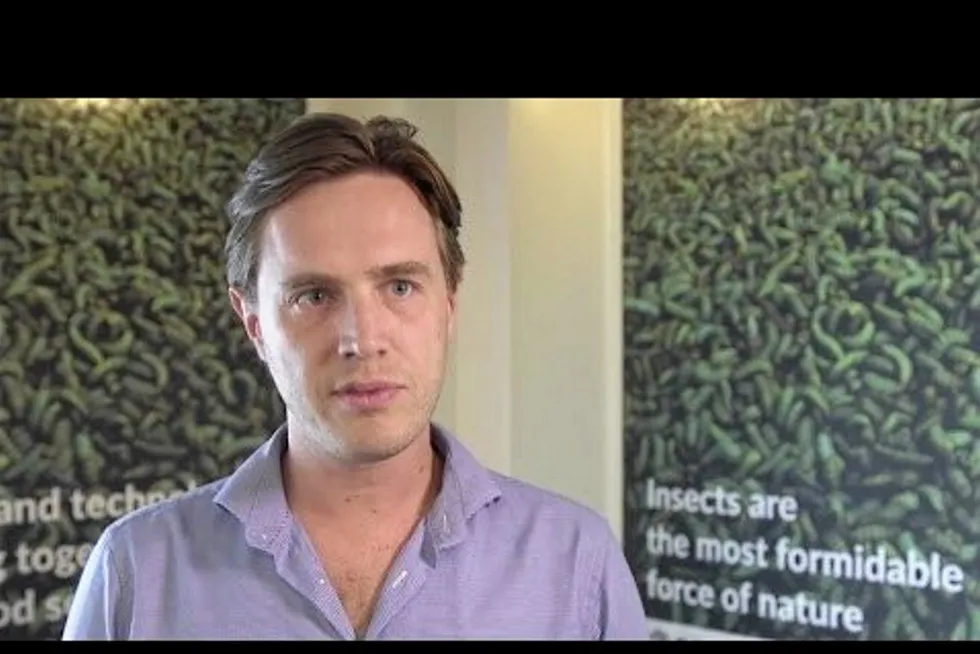 Kees Aarts, CEO of insect meal producer Protix.