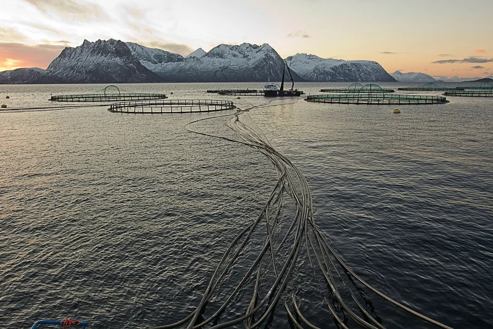 Sjømatselskapet Mowi må stenge to lokaliteter for oppdrettsfiske i Troms, etter at de fikk påvist en alvorlig laksesykdom. Bildet er fra Flakstadvåg i Senja.