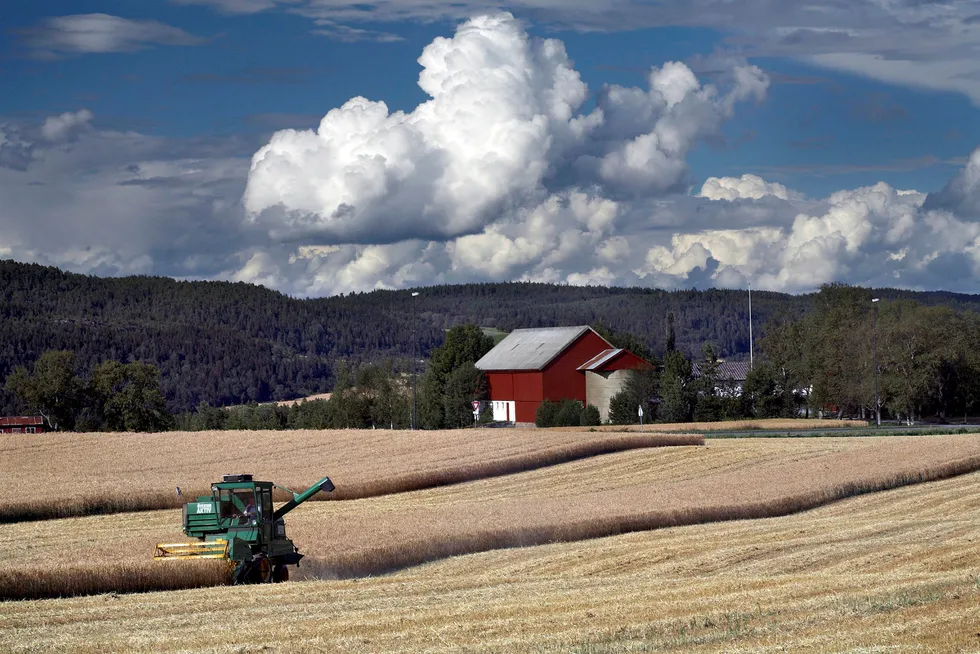 Landbruksorganisasjonene varsler at de vil starte forenklede jordbruksforhandlinger med staten om en avtale for 2021.
