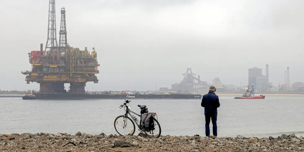 The brownfield regeneration Teesworks project has been linked to a mass die-off of crab along the coast of north east England.