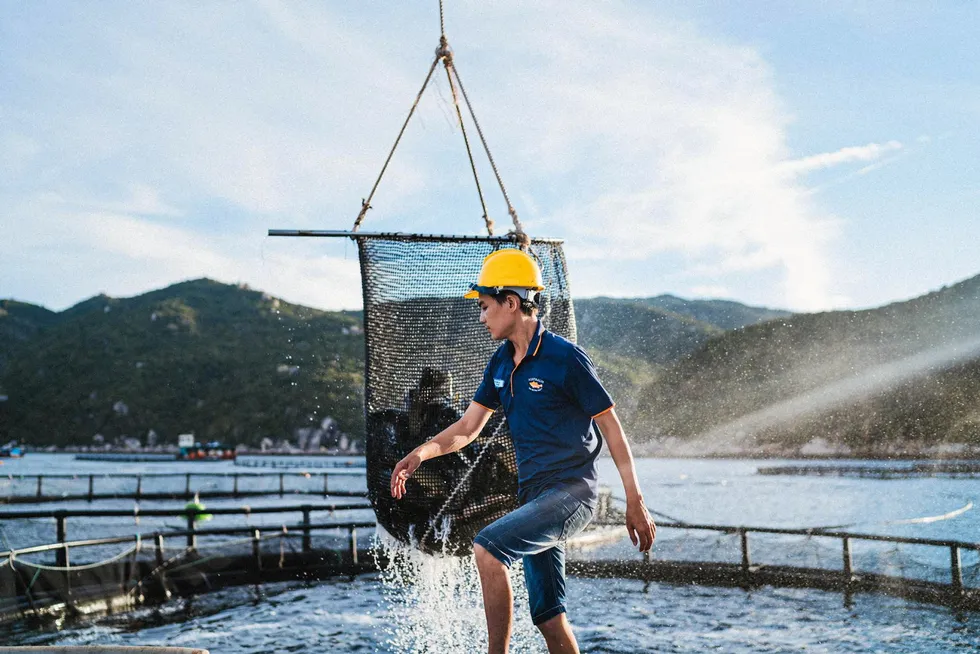 Barramundi producer Australis Aquaculture has become the world’s first producer to achieve certification under the ASC’s Tropical Marine Finfish (TMFF) standard for its ocean-based farm in central Vietnam.