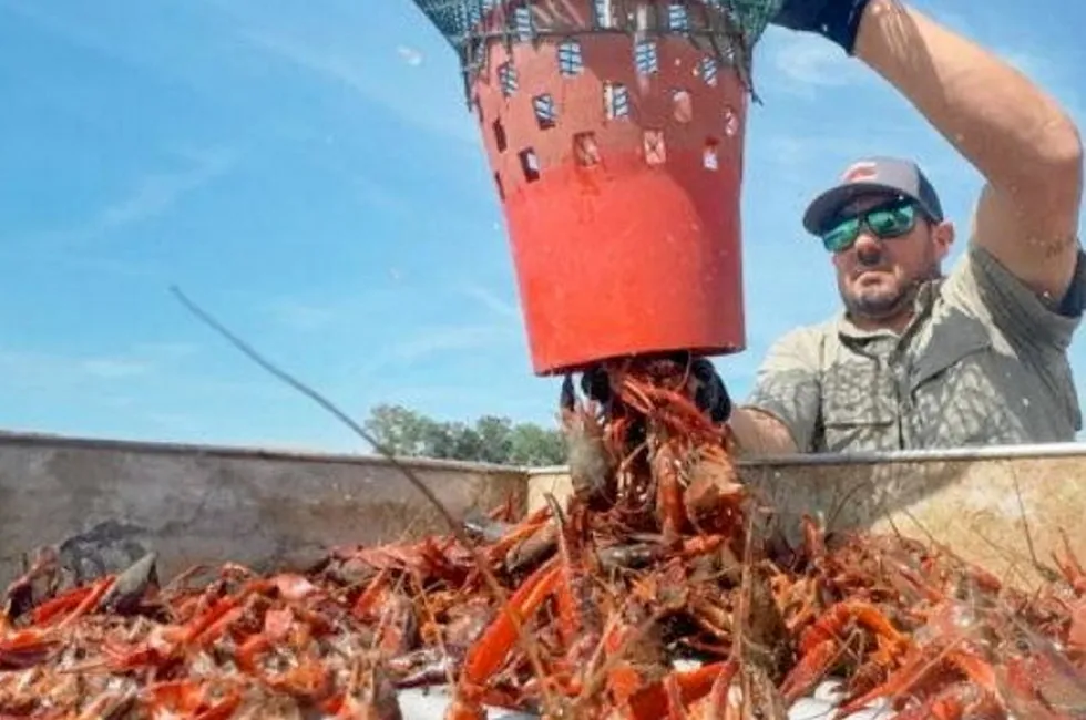 As a state, Louisiana produces more than 850 million pounds of seafood each year. But the industry says it is hurting from foreign seafood imports.