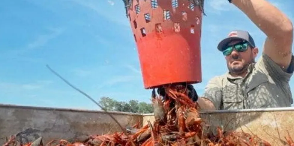 As a state, Louisiana produces more than 850 million pounds of seafood each year. But the industry says it is hurting from foreign seafood imports.