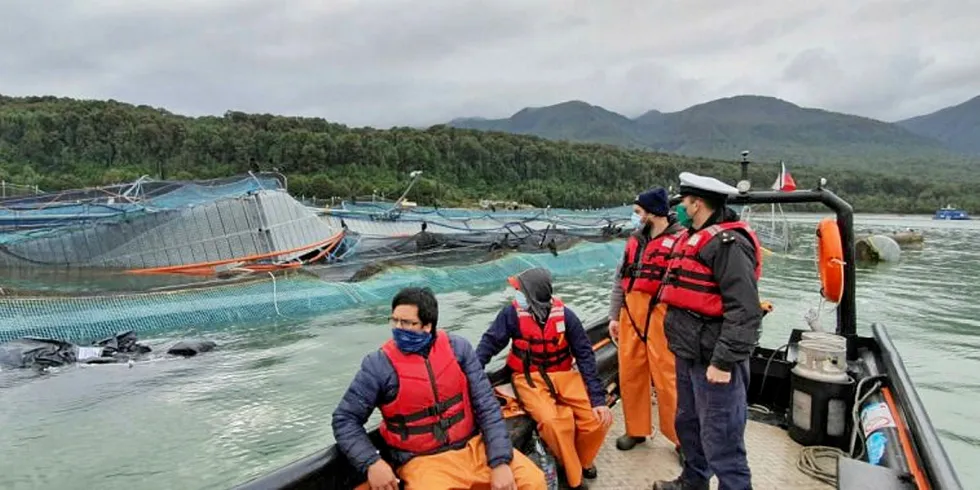 Inspektører fra marinen på plass ved lokaliteten Punta Islote. Chile.