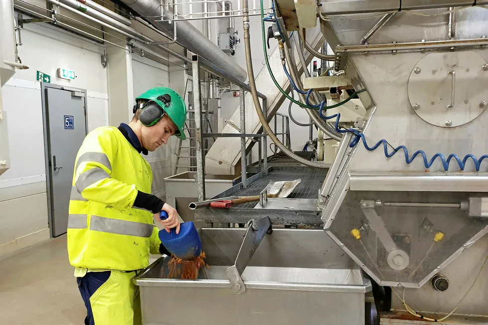 An operator takes samples of Skretting's feed at the factory at Averoy.