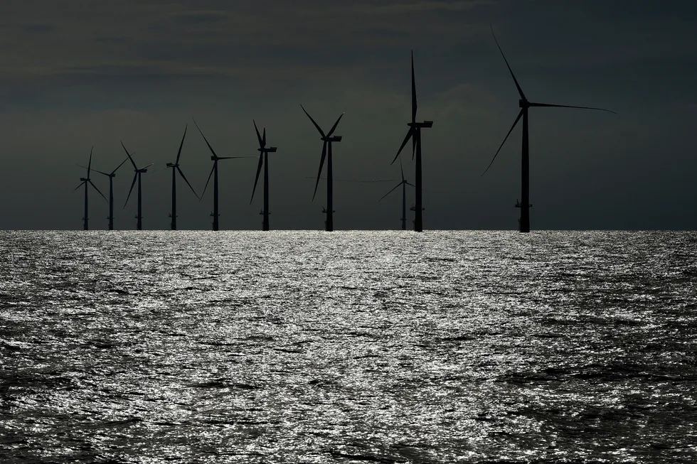 Bedre enn vannkraft? Et stridsspørsmål i EUs nye klimaplan, er om vindmøller som her utenfor Helgoland, er mer bærekraftig enn norsk vannkraft.