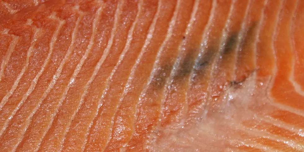 The melanin flecks pose a significant loss in value of fillets.