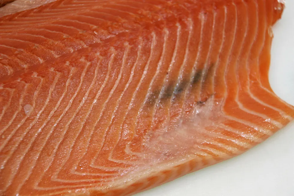 The melanin flecks pose a significant loss in value of fillets.