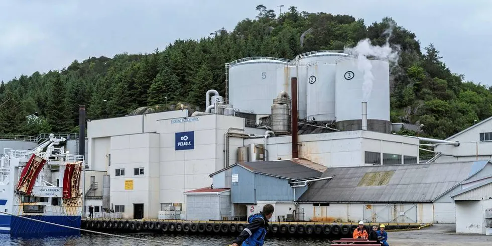 SVEKKER KONKURRANSEN: Sildelagets praksis av fiskesalgslagsloven bidrar til å svekke konkurransen, mener Sjømat Norge. Bildet er fra kaikanten i Egersund. Foto: Tommy Ellingsen