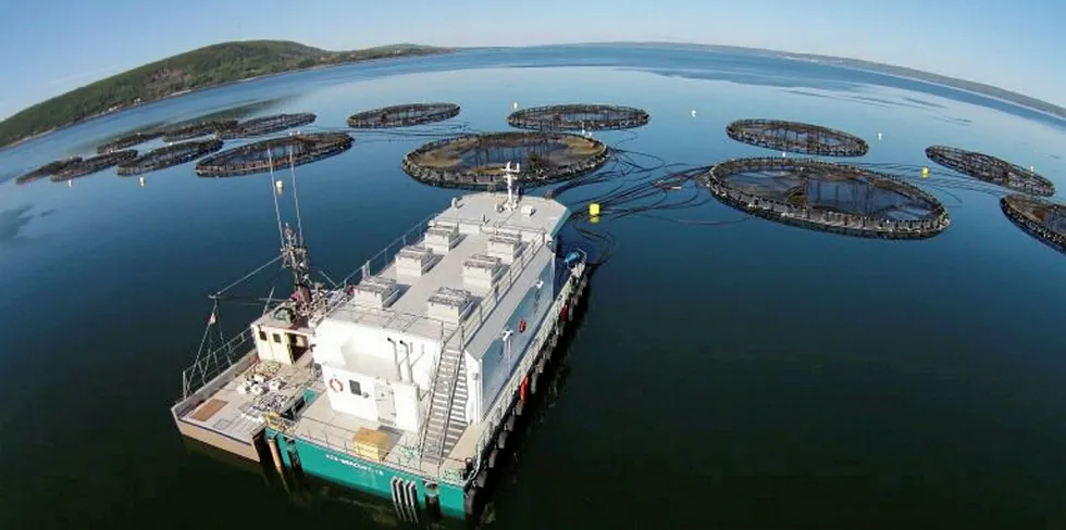 Nova Scotia-based seafood giant Cooke Aquaculture announced it would continue plans to expand its salmon farming operations in the province.