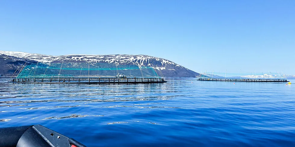 Norcod driver torskeoppdrett i åpne merder i sjø, blant annet utenfor Frøya i Trøndelag.