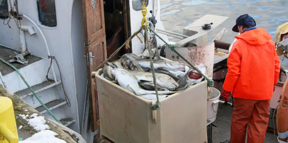 Viderefører ordningen med overføring av torskekvoter på fartøynivå