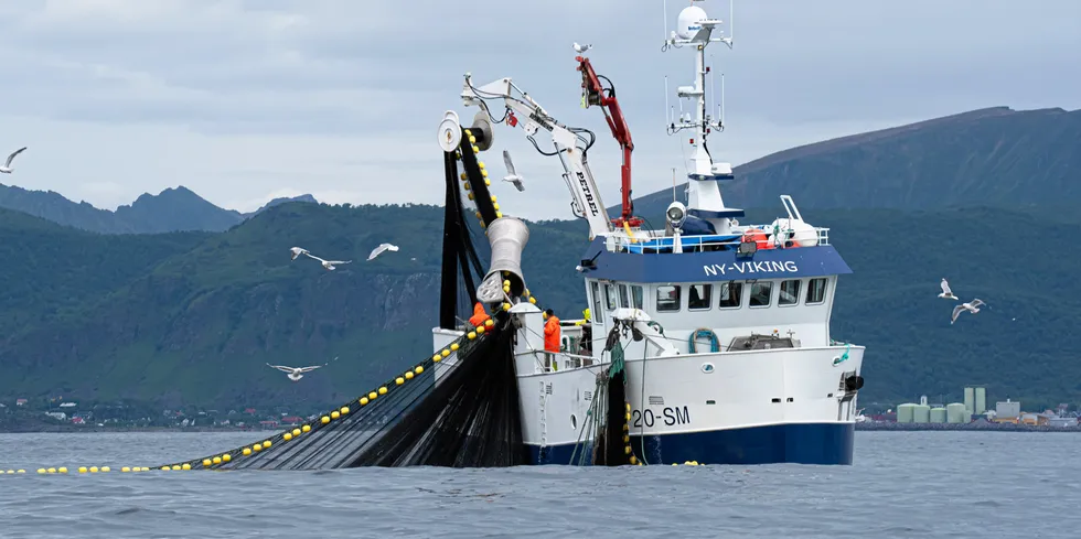 «Ny-Viking» har levert de to første fangstene i makrellfiske fra innersida i Lofoten. Siste fangst ble på 45 tonn for Smøla-båten.
