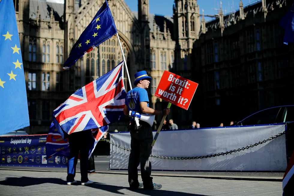 Antibrexitdemonstrant Steve Bray står utenfor parlamentet i London onsdag med et EU-flagg og et britisk flagg. På plakaten står det Brexit: er det verdt det?