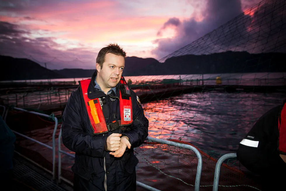 Utfordringene med lakselus gjør at Marine Harvest-sjef Alf-Helge Aarskog mener det står for mye oppdrettslaks i sjøen hele veien fra Hordaland til Lofoten. Foto: Tomm W. Christiansen
