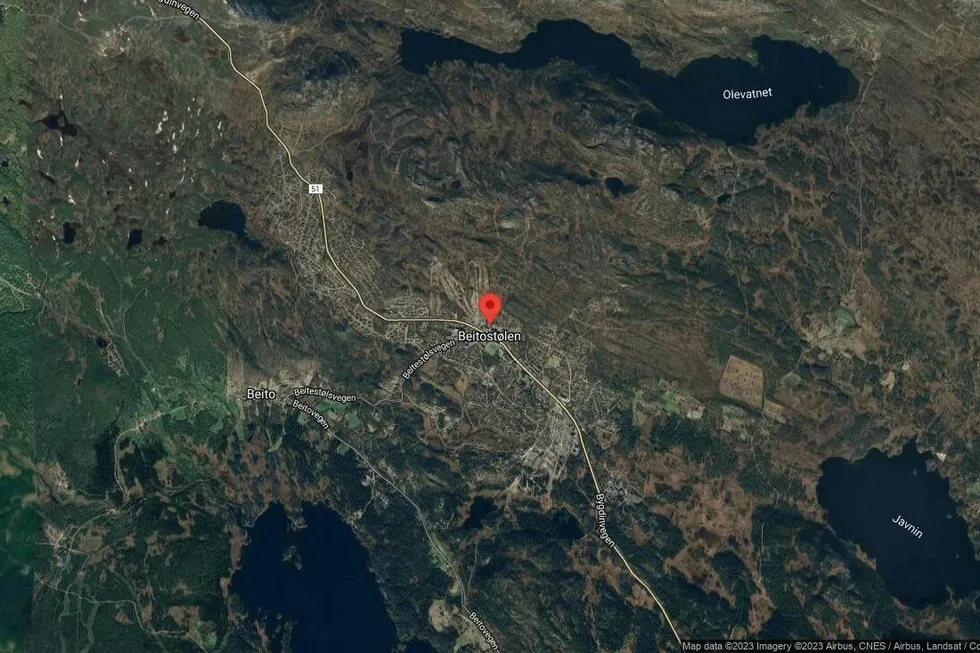 Området rundt Skjenhauglie 43, Øystre Slidre, Innlandet