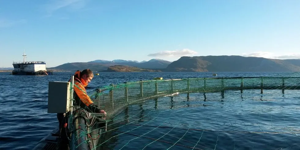 Lokaliteten Storvika i Skjerstadfjorden til Salten Aqua. Illustrasjonsfoto