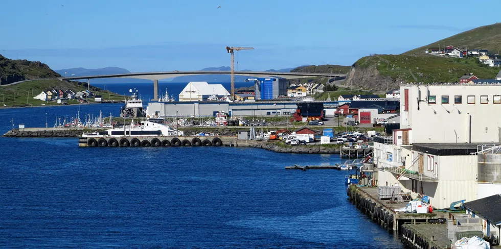 I Havøysund er det startet et nytt foretak som skal eksportere fisk.