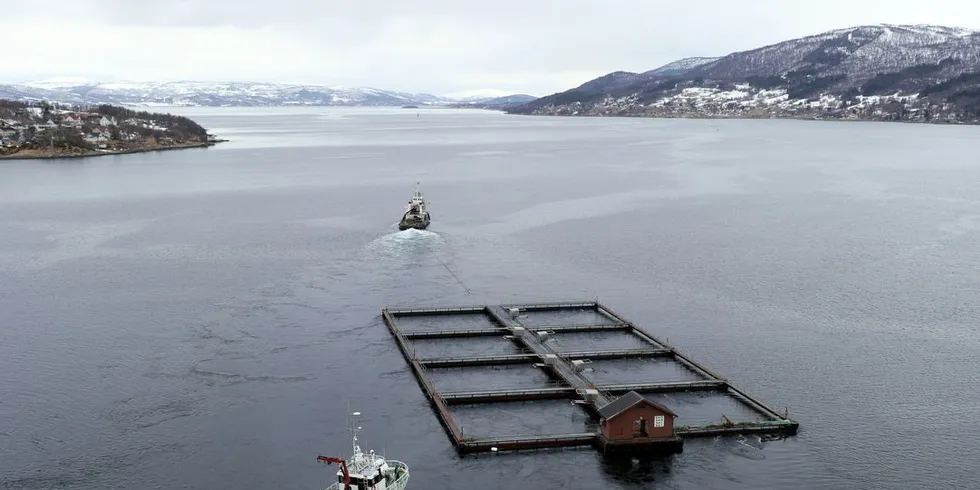 Eksempel på torskehotell. Kloegga levendelagring.