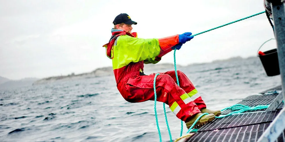 Harde tak, men trives på jobb. Illustrasjonsfoto: Hung Ngo/ Nyhetstjeneste