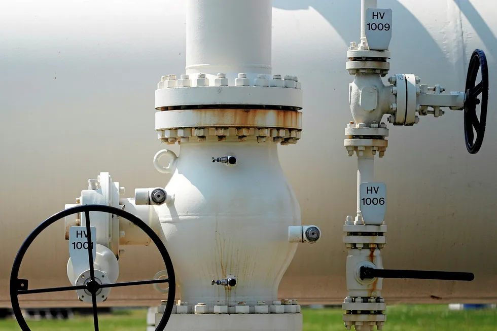 Gas demand: Valves are pictured at Austria's largest natural gas import and distribution station in Baumgarten