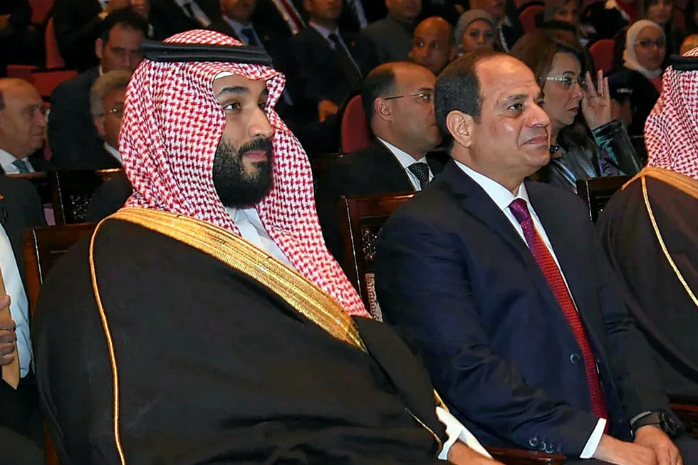 Leadership: Saudi Arabia's Crown Prince Mohammed bin Salman (left) pictured during his visit to Egypt with Egyptian President Abdel Fattah El-Sisi (right)
