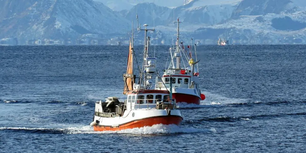 GODT NOK: Sjarkflåten har gode rammebetingelser og trenger ikke struktur, mener Nordland Fylkes Fiskarlag.Foto: Jon Eirik Olsen