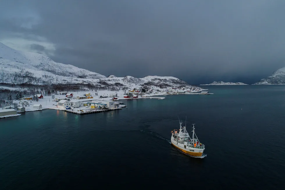 Fiskebåten «Mjosund» har levert skrei hos Lerøy Seafood i fiskeværet Tromvik utenfor Tromsø.