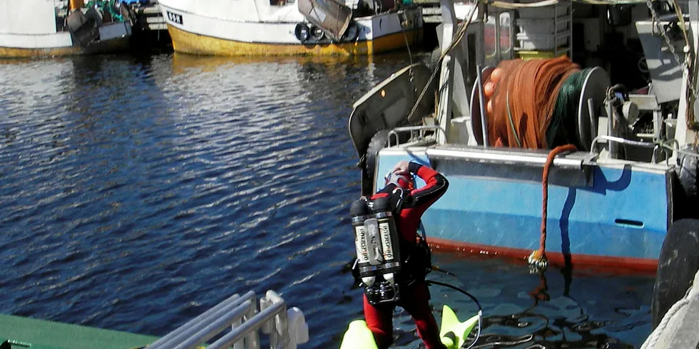 BISTÅR FLÅTEN: En dykker fra Redningsselskapets skøyte «Sundt Flyer» gjør et dykk for å assistere en fiskebåt.