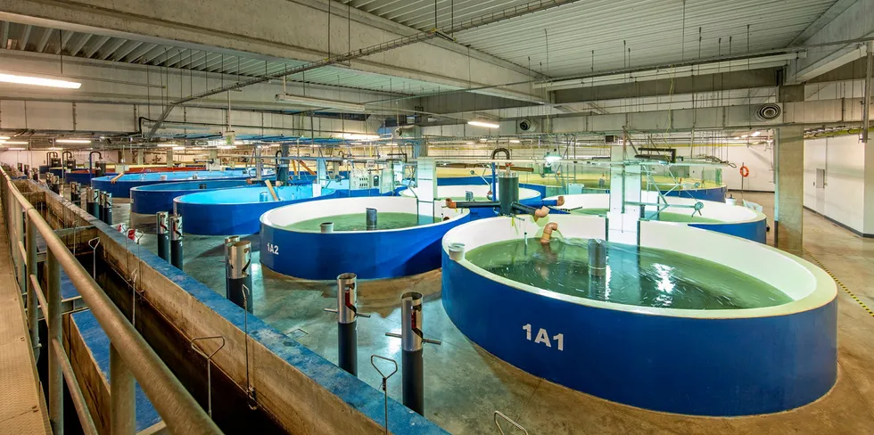 AquaMaof is the equipment supplier for Aquaproduct, Russia's first land-based salmon farm.