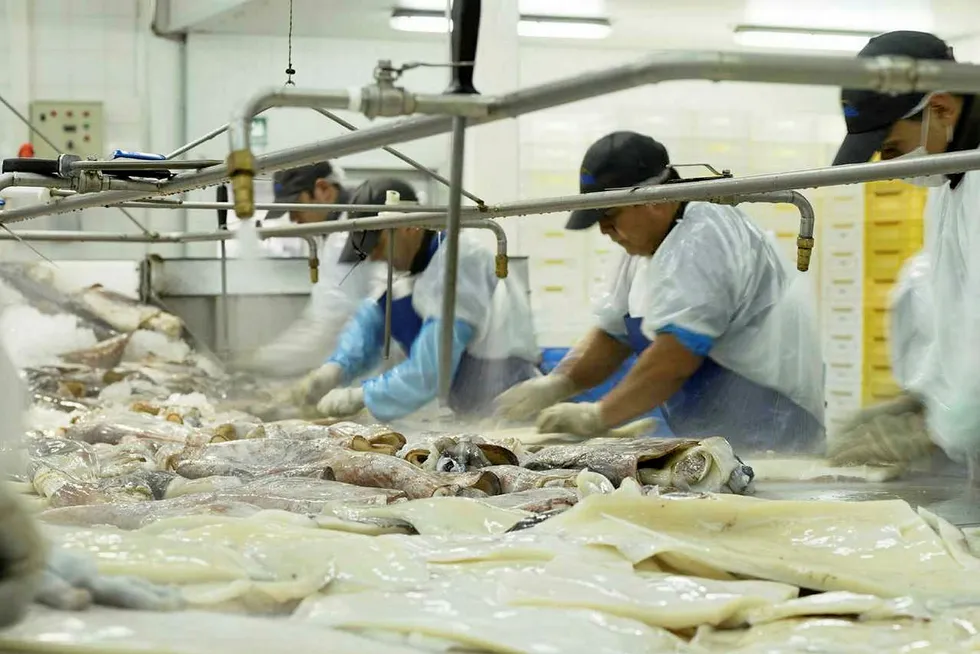 Landes will have to shut down its cuttlefish processing plant.