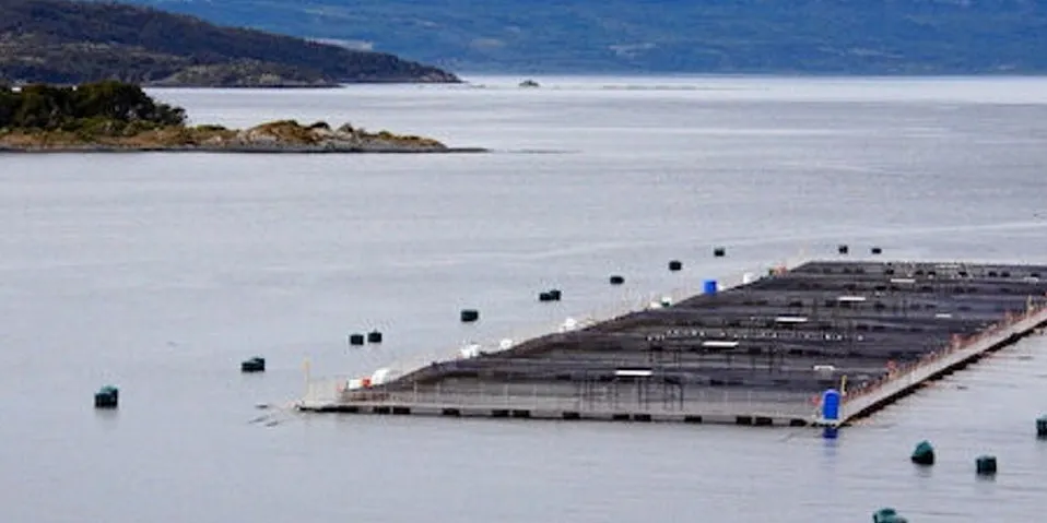 Chile's salmon industry takes first step to towards climate change goals.