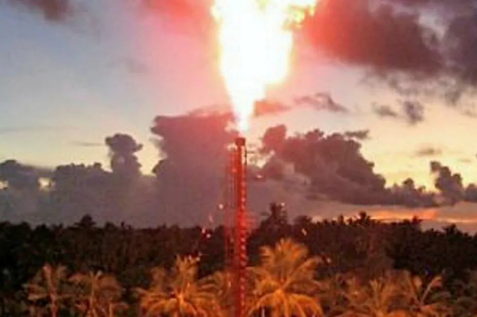 Reduced demand: gas flare at Mnazi Bay field in Tanzania