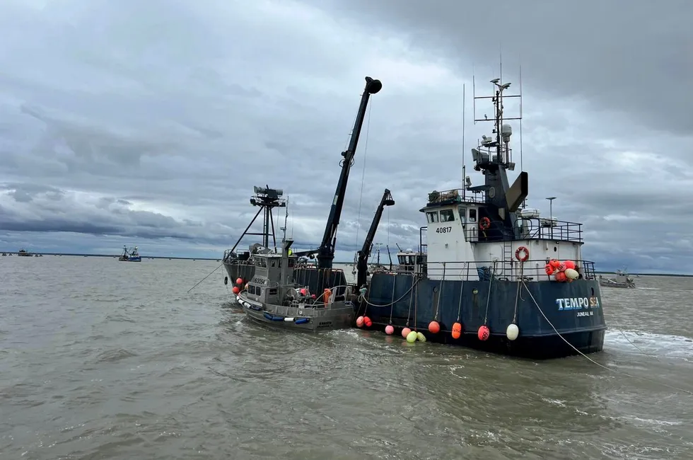 Alaska salmon season LIVE Bristol Bay fishing ups sockeye harvest to