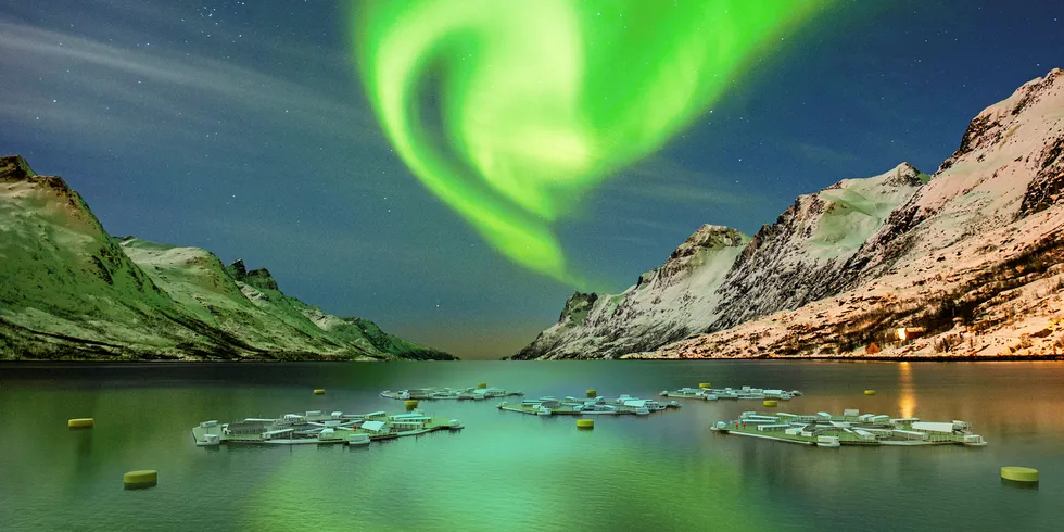 Marine donut i Balsfjorden- illustrasjon fra Salpixel.