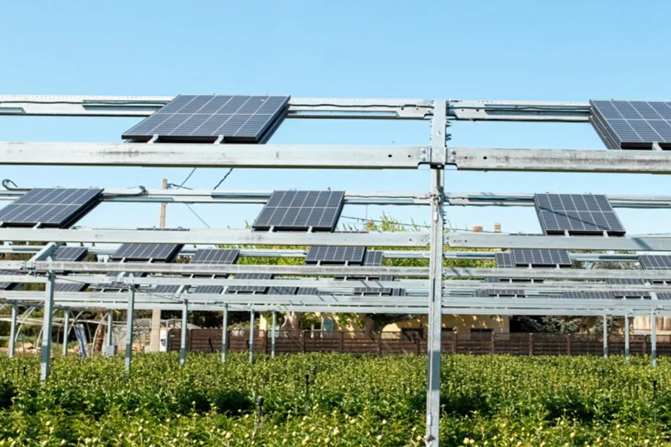 Ombrea has been working on combining crops with solar power generation since 2016.