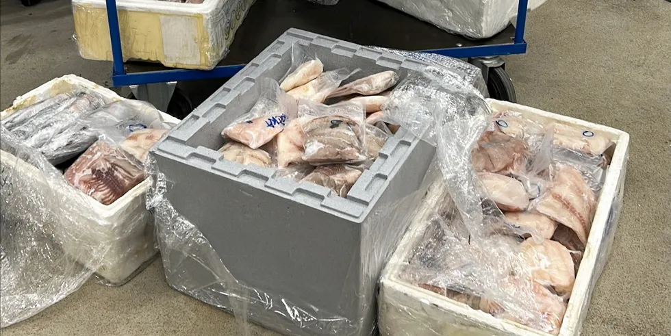 Beslag av 712 kg fisk tatt på Junkerdal tollstasjon.