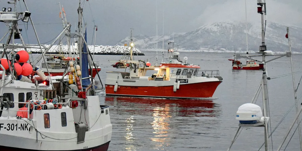 FLÅTEN PÅ PLASS: Med sildetorsken kommer også flere sjarker til Skjervøy. Det fylles opp ved kaia hos Skjervøy Fisk og Skalldyr.