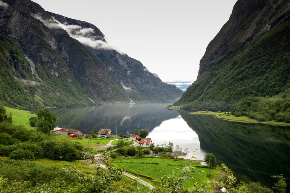Norsk jordbruks fortrinn er ikke volumproduksjon. Som i Alpene passer naturen bedre til varer med særpreg, skriver Ivar Gaasland. Illustrasjonsfoto.