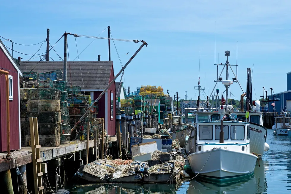 Pioneering Mitsubishi research array looks to blaze trail for US