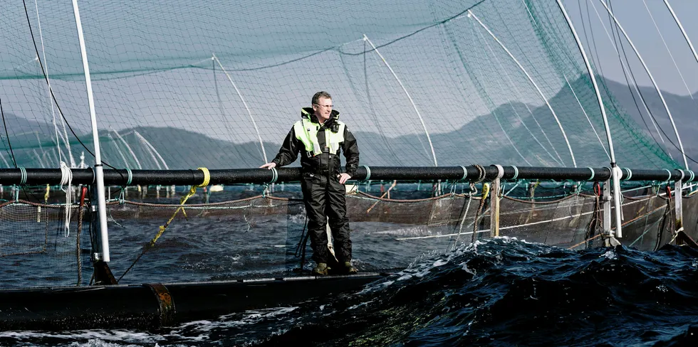 Konsernsjef Andreas Kvame i Grieg Seafood.