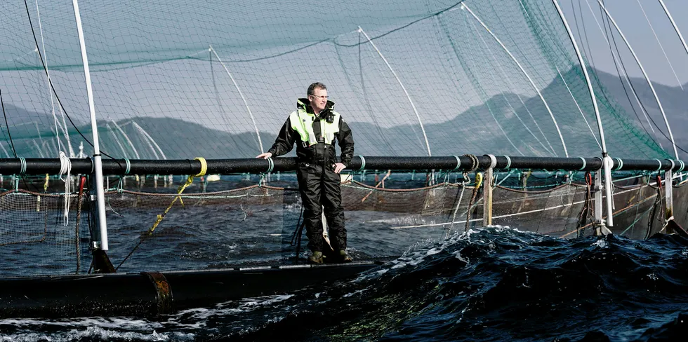 Konsernsjef i Grieg Seafood, Andreas Kvame, gleder seg til å drive oppdrett på østkysten av Canada.