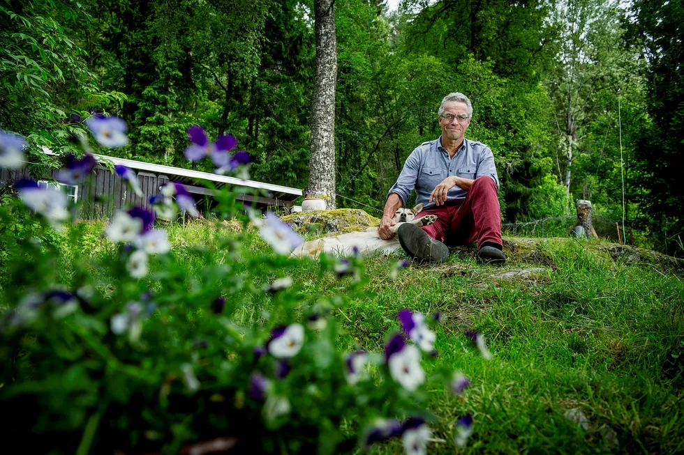 MDG-leder Rasmus Hansson hjemme på Muren i Bærumsmarka med hunden Smilla. Foto: Gorm K. Gaare