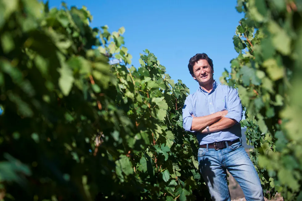 Bare hvitt. Rafael Palacios er oppvokst i rødvinsdistriktet Rioja og er nå hvitvinsprodusent i Valdeorras i Spania. Foto: Bodega Rafael Palacios S.L.