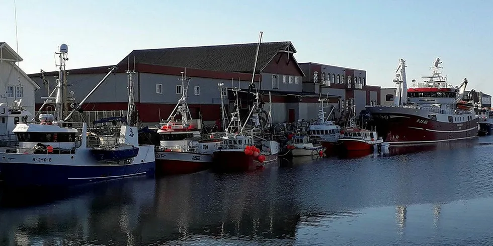 SNUDDE: Plutselig tok makrellfisket seg opp i Vestfjorden lørdag kveld og båtene «ramlet» inn for å levere til Lofoten Viking søndag.