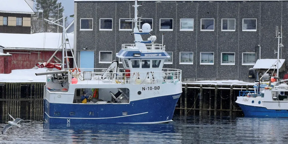 PÅ VENT: Lørdag gikk fisket som vanlig i Lofoten. Her ligger flåten i leveringskø hos Saga Fisk i Svolvær på ettermiddagen.