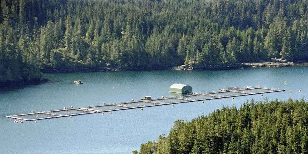 Slik ser det ut på dagen, på sommeren, i British Columbia, nordvest i Canada. I natt ble det sendt ut tsunamivarsel i området.